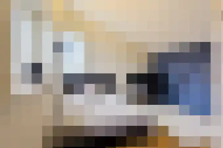 Elisabeth van den Boschlaan 20 Helmond thumbnail 46