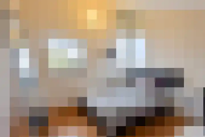 Elisabeth van den Boschlaan 20 Helmond thumbnail 47