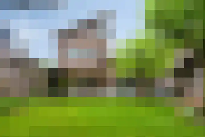 Elisabeth van den Boschlaan 20 Helmond thumbnail 48