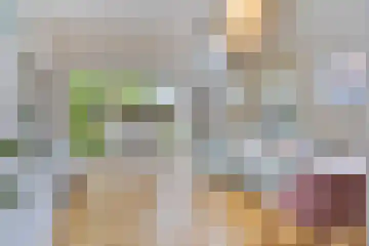 Elisabeth van den Boschlaan 20 Helmond thumbnail 5