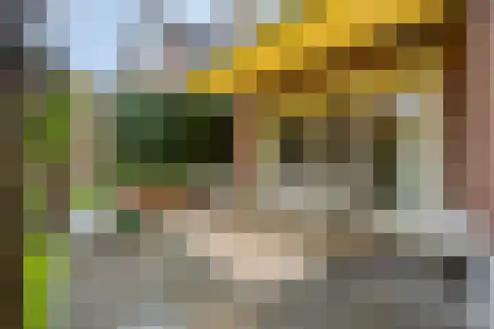 Elisabeth van den Boschlaan 20 Helmond thumbnail 53