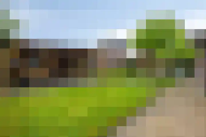 Elisabeth van den Boschlaan 20 Helmond thumbnail 55