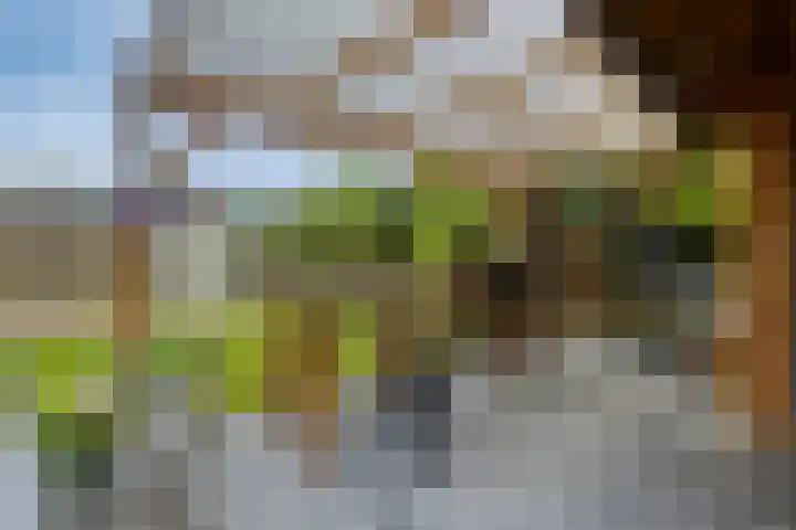 Elisabeth van den Boschlaan 20 Helmond thumbnail 57