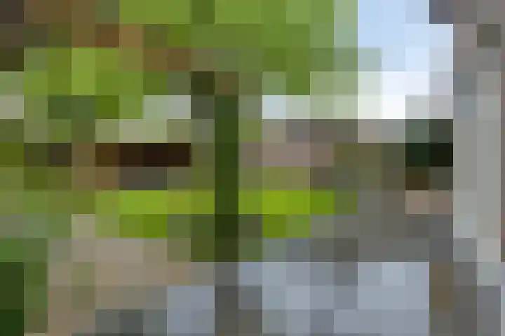 Elisabeth van den Boschlaan 20 Helmond thumbnail 6