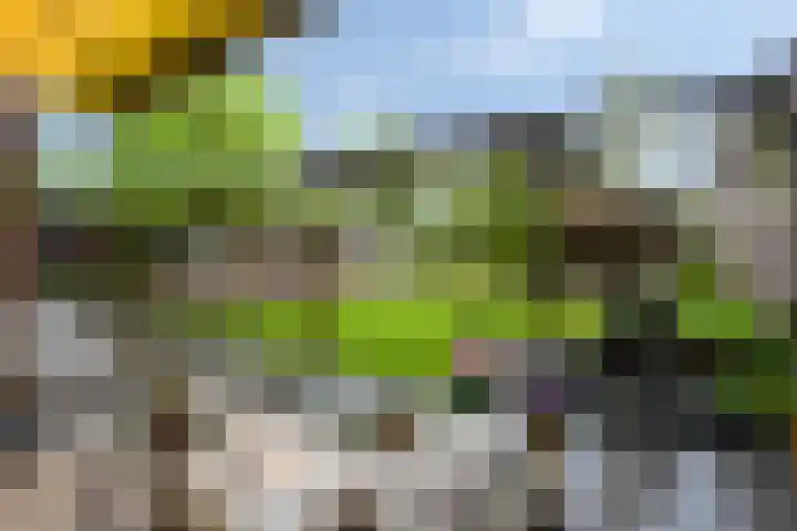 Elisabeth van den Boschlaan 20 Helmond thumbnail 60