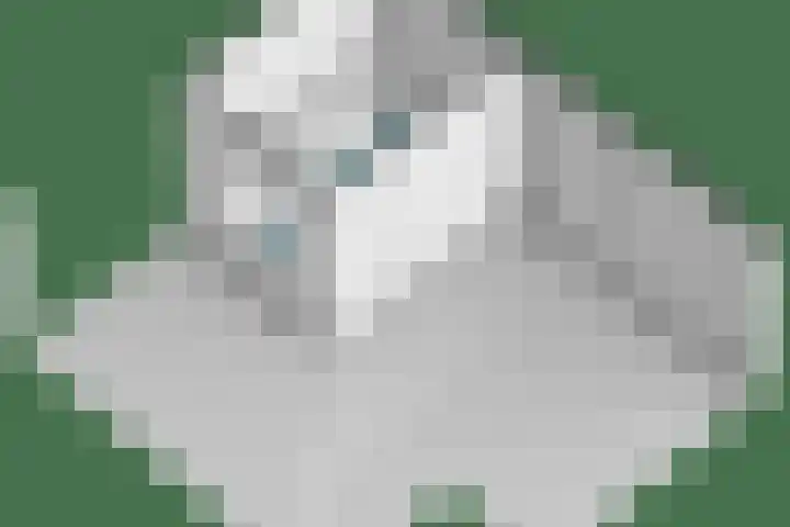 Elisabeth van den Boschlaan 20 Helmond thumbnail 75