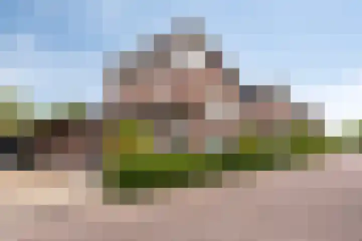 Elisabeth van den Boschlaan 20 Helmond thumbnail 8