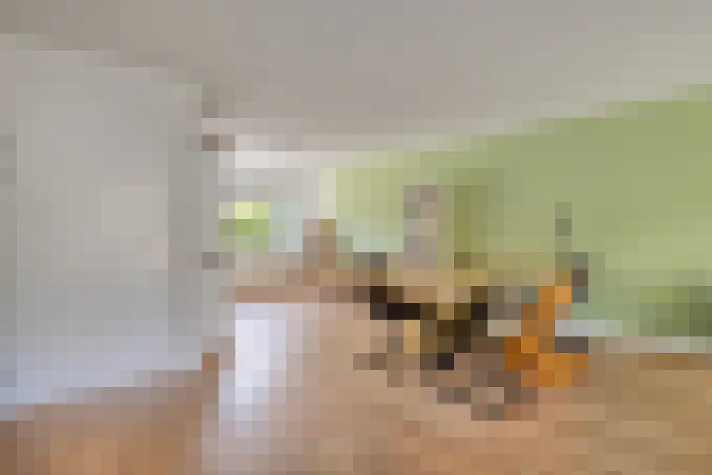 Elisabeth van Engelandlaan 32 Leiderdorp thumbnail 17