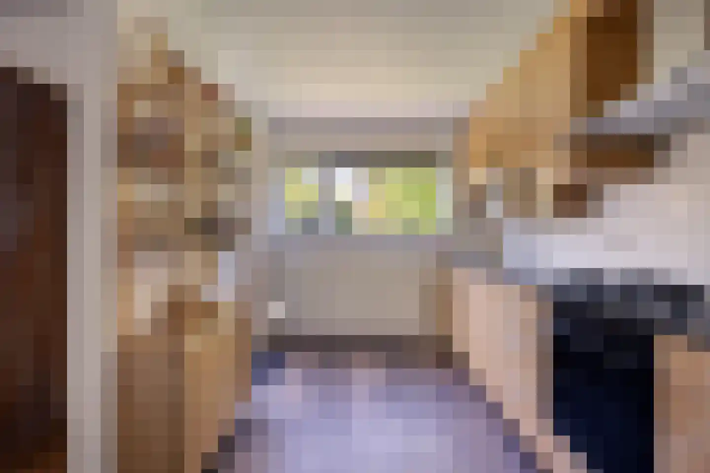 Elisabeth van Engelandlaan 32 Leiderdorp thumbnail 25