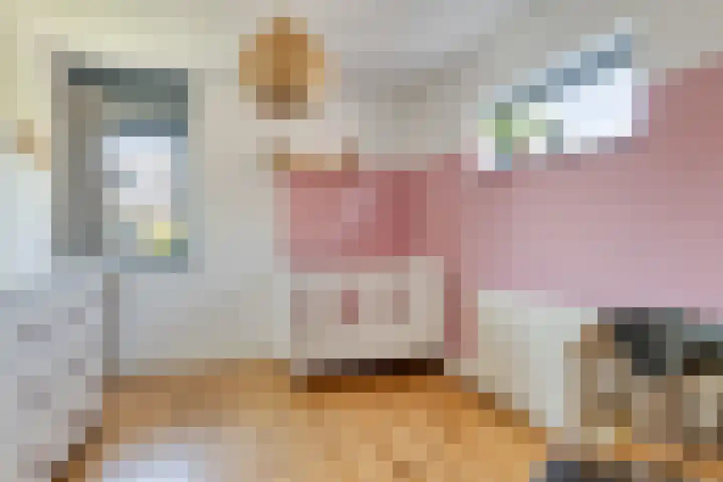 Elisabeth van Engelandlaan 32 Leiderdorp thumbnail 35