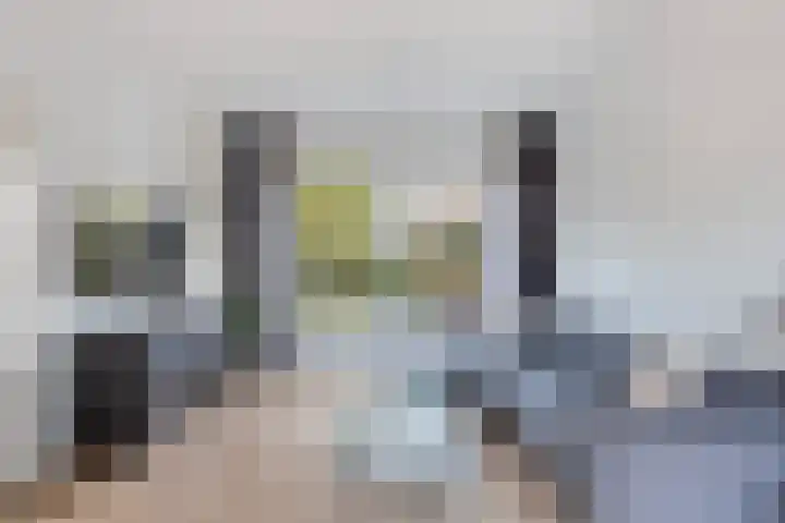 Elisabeth van Loonstraat 10 Mijnsheerenland thumbnail 10