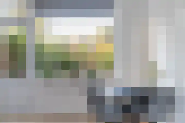 Elisabeth van Loonstraat 10 Mijnsheerenland thumbnail 14