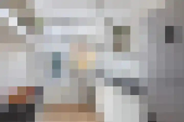 Elisabeth van Loonstraat 10 Mijnsheerenland thumbnail 16