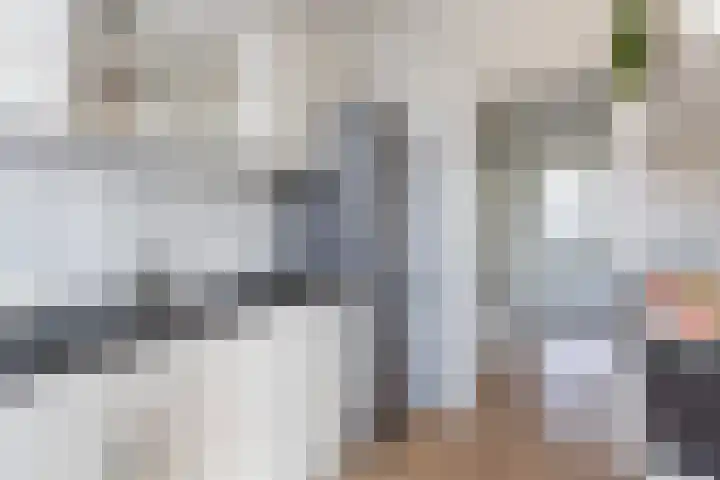 Elisabeth van Loonstraat 10 Mijnsheerenland thumbnail 18