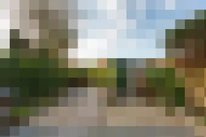 Elisabeth van Loonstraat 10 Mijnsheerenland thumbnail 33