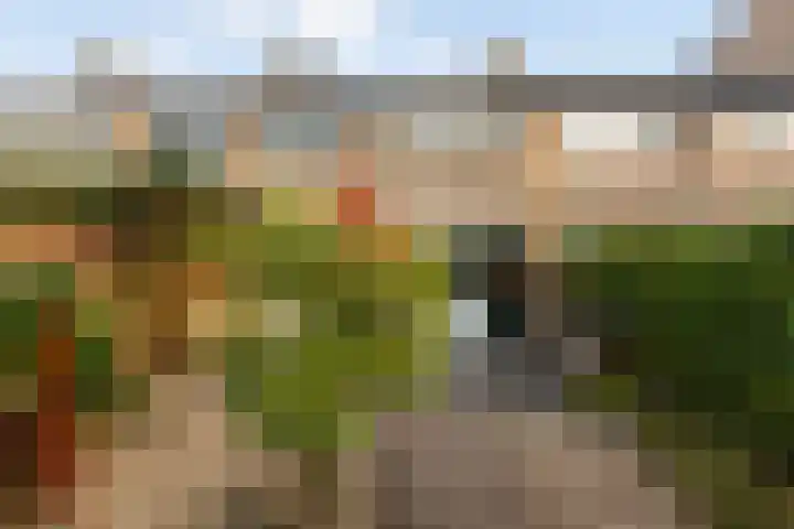 Elisabeth van Loonstraat 10 Mijnsheerenland thumbnail 35