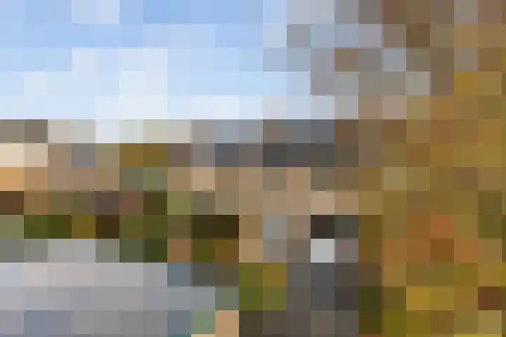 Elisabeth van Loonstraat 10 Mijnsheerenland thumbnail 36