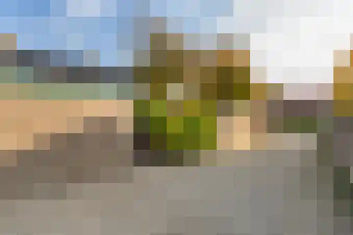 Elisabeth van Loonstraat 10 Mijnsheerenland thumbnail 37