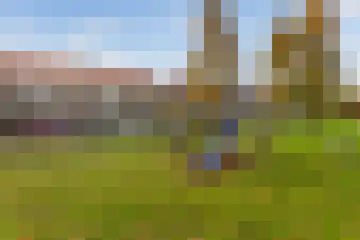 Elisabeth van Loonstraat 10 Mijnsheerenland thumbnail 38