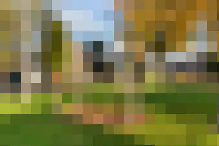 Elisabeth van Loonstraat 10 Mijnsheerenland thumbnail 39