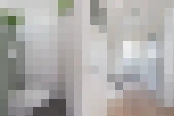 Elisabeth van Loonstraat 10 Mijnsheerenland thumbnail 4