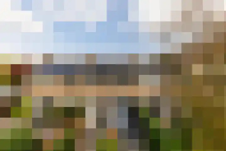 Elisabeth van Loonstraat 10 Mijnsheerenland thumbnail 40