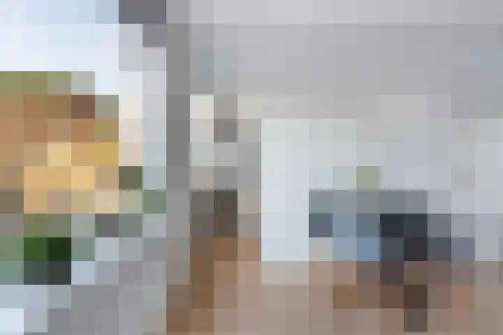 Elisabeth van Loonstraat 10 Mijnsheerenland thumbnail 9