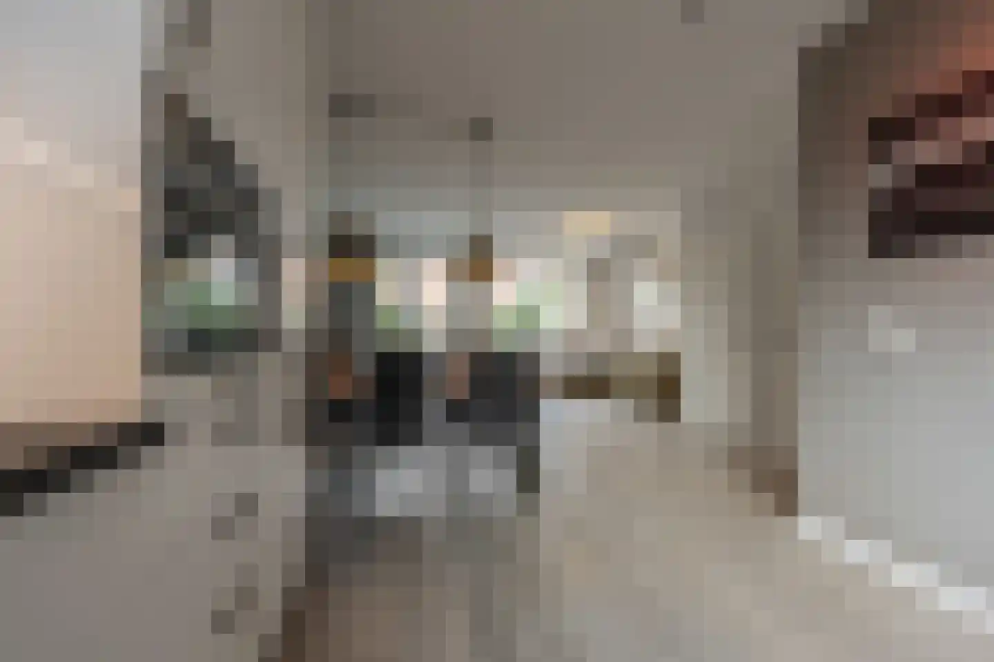 Elisabeth van Loonstraat 18 Mijnsheerenland thumbnail 11