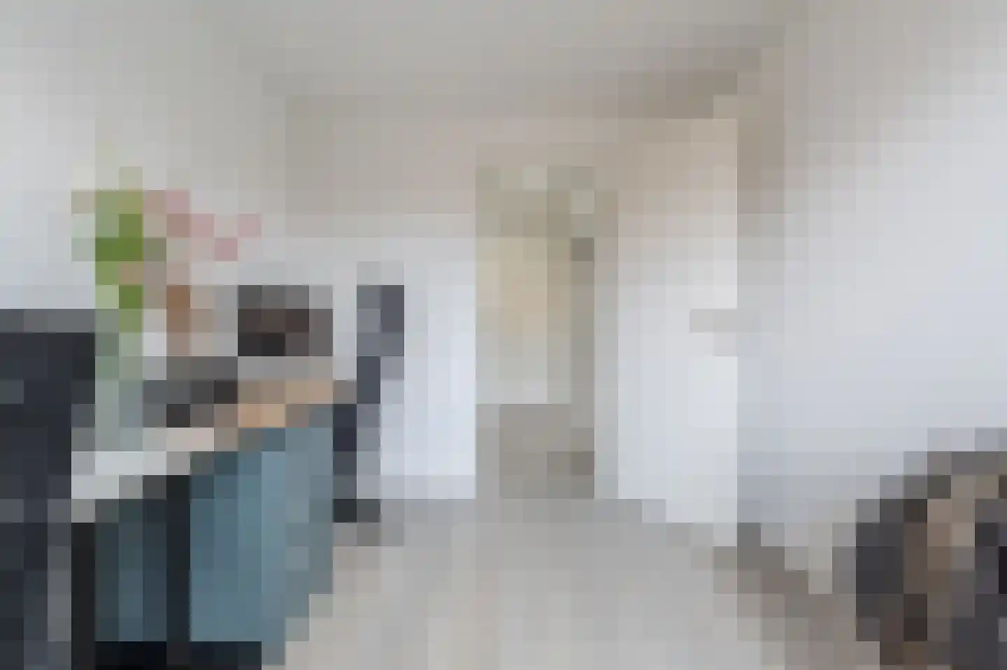 Elisabeth van Loonstraat 18 Mijnsheerenland thumbnail 17