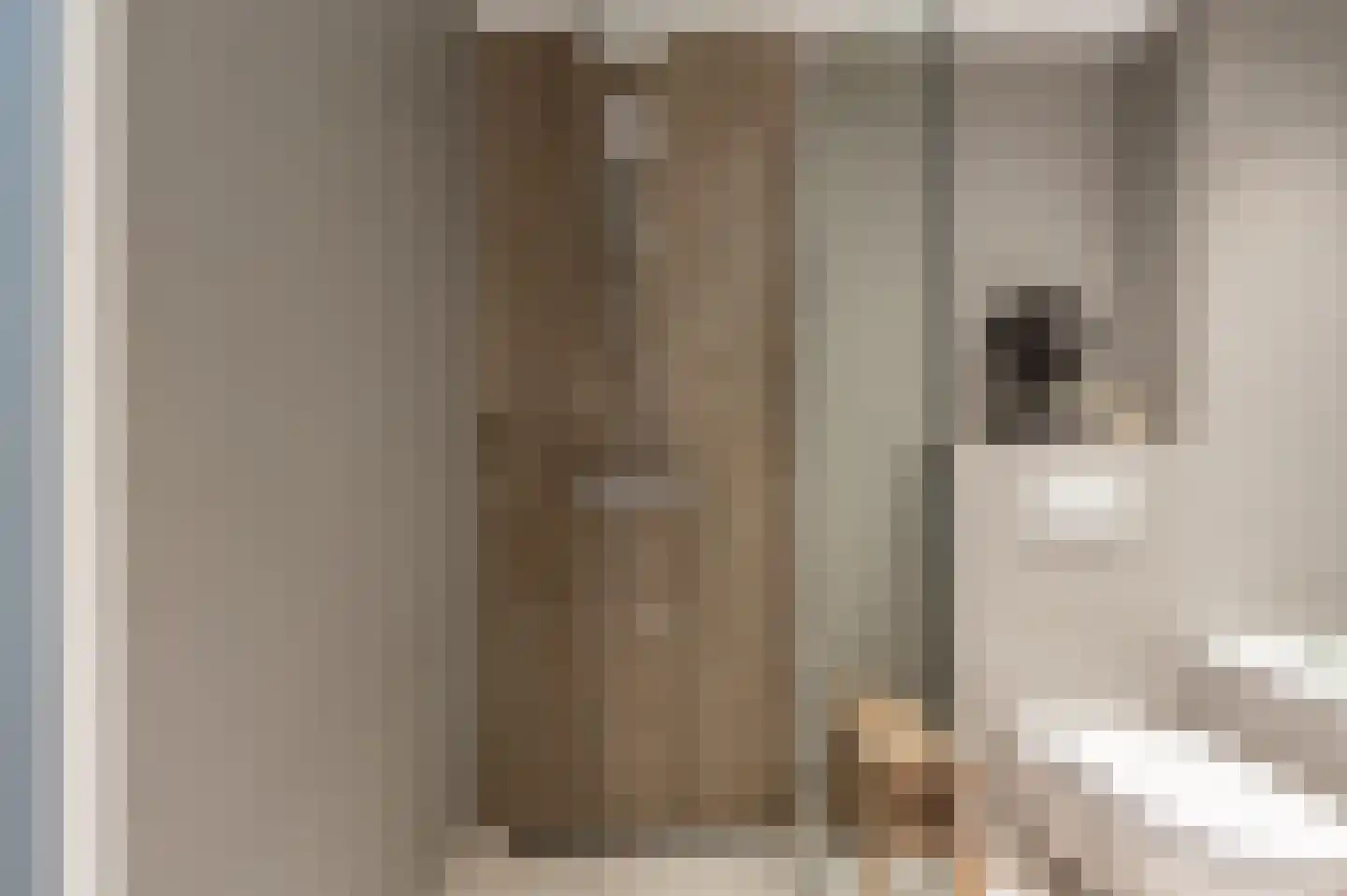 Elisabeth van Loonstraat 18 Mijnsheerenland thumbnail 21