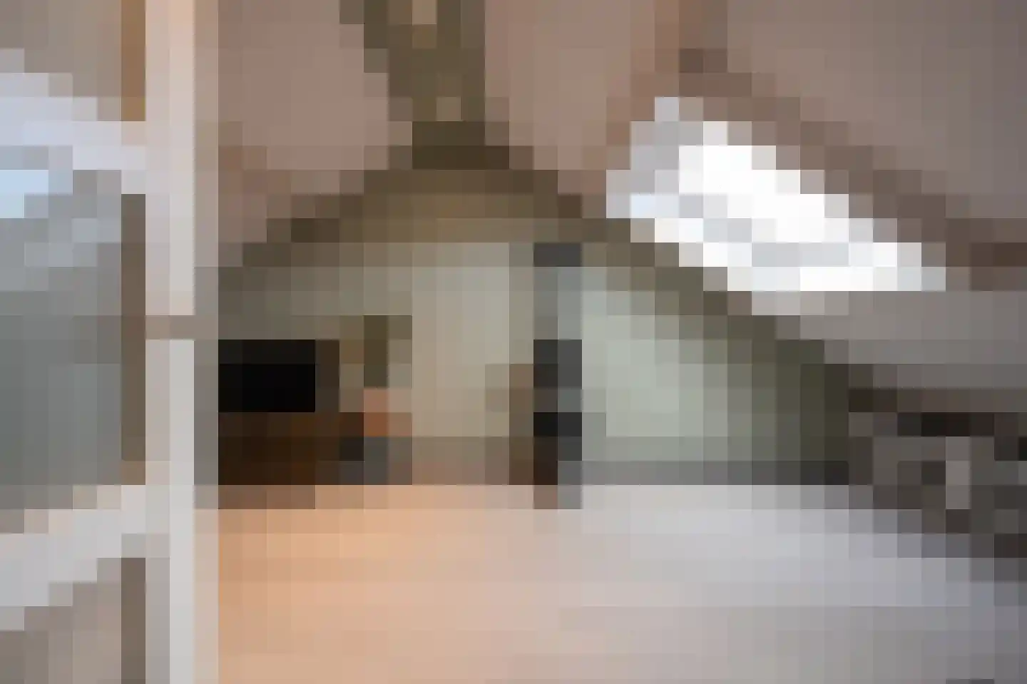 Elisabeth van Loonstraat 18 Mijnsheerenland thumbnail 27