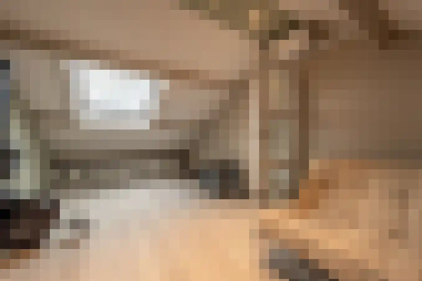 Elisabeth van Loonstraat 18 Mijnsheerenland thumbnail 30