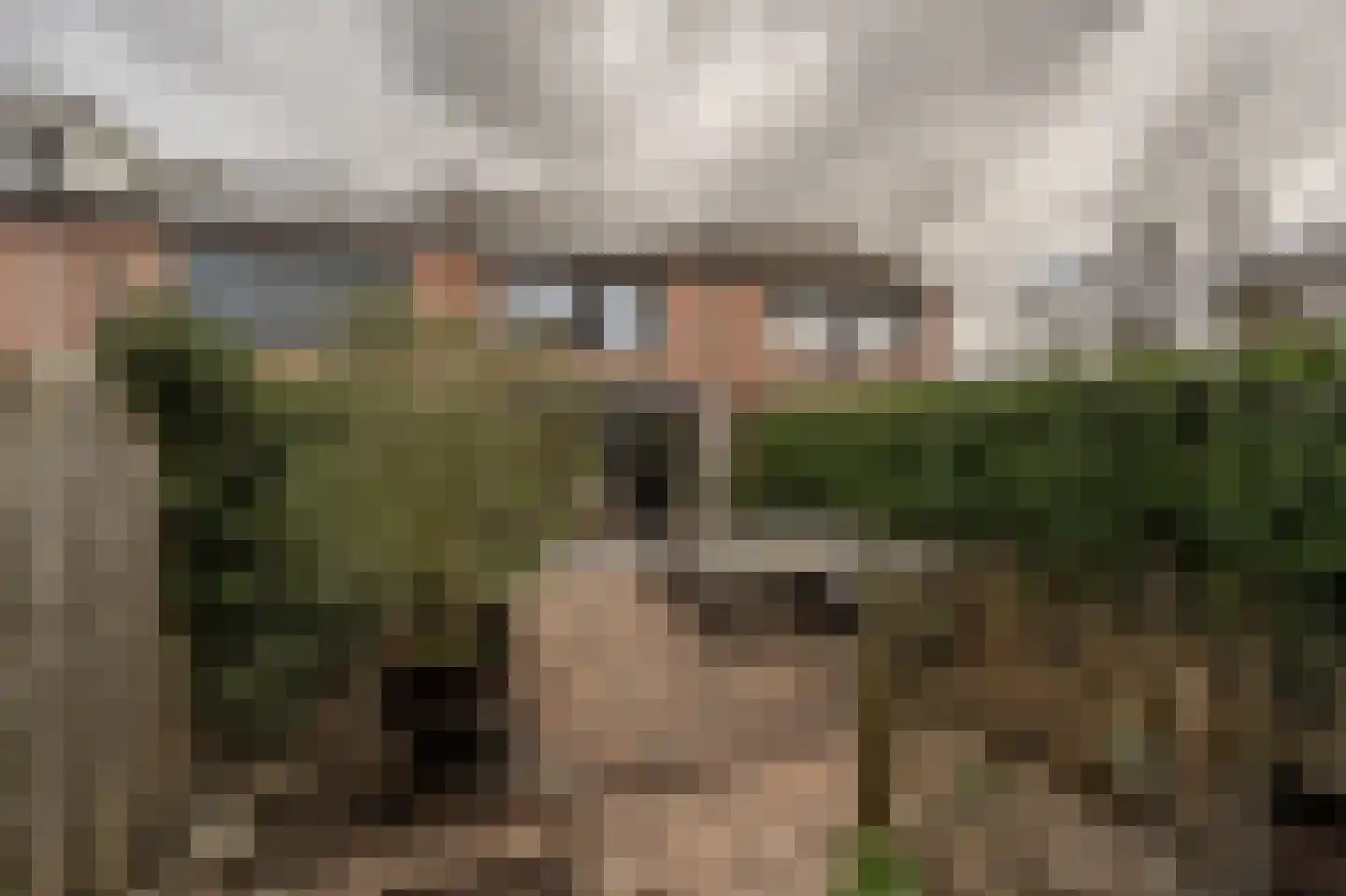 Elisabeth van Loonstraat 18 Mijnsheerenland thumbnail 31