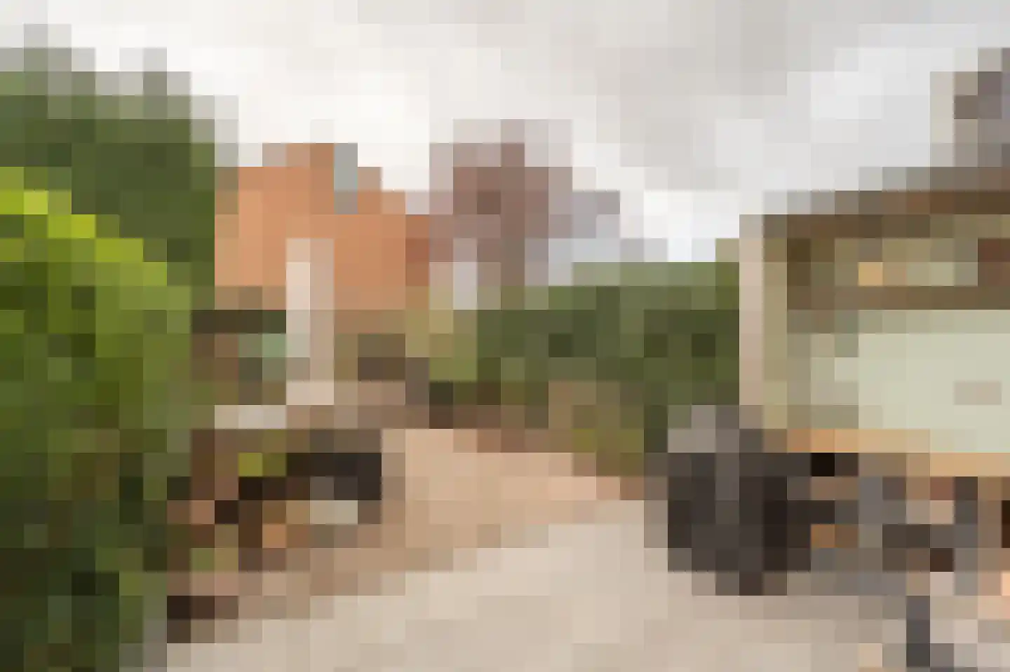 Elisabeth van Loonstraat 18 Mijnsheerenland thumbnail 32