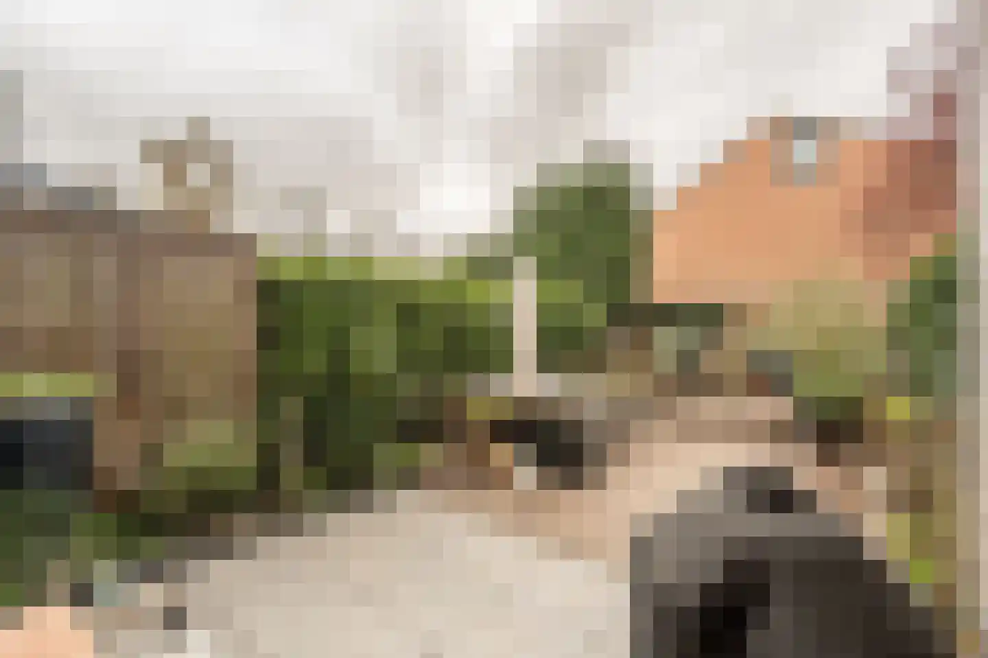 Elisabeth van Loonstraat 18 Mijnsheerenland thumbnail 33