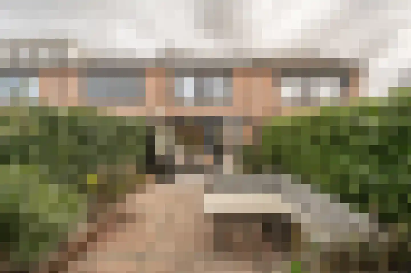 Elisabeth van Loonstraat 18 Mijnsheerenland thumbnail 34