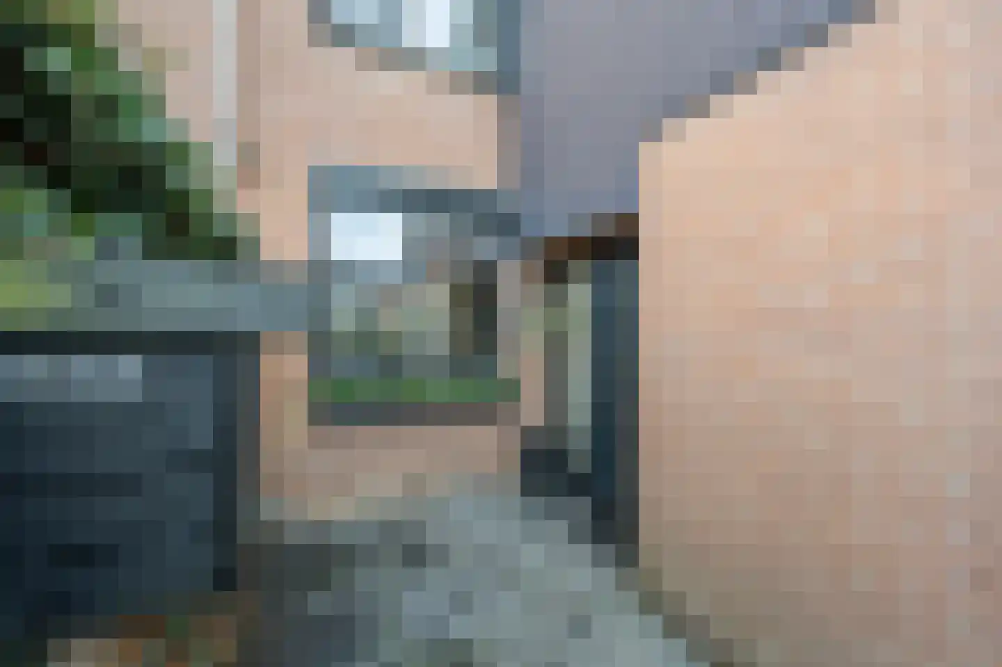 Elisabeth van Loonstraat 18 Mijnsheerenland thumbnail 35