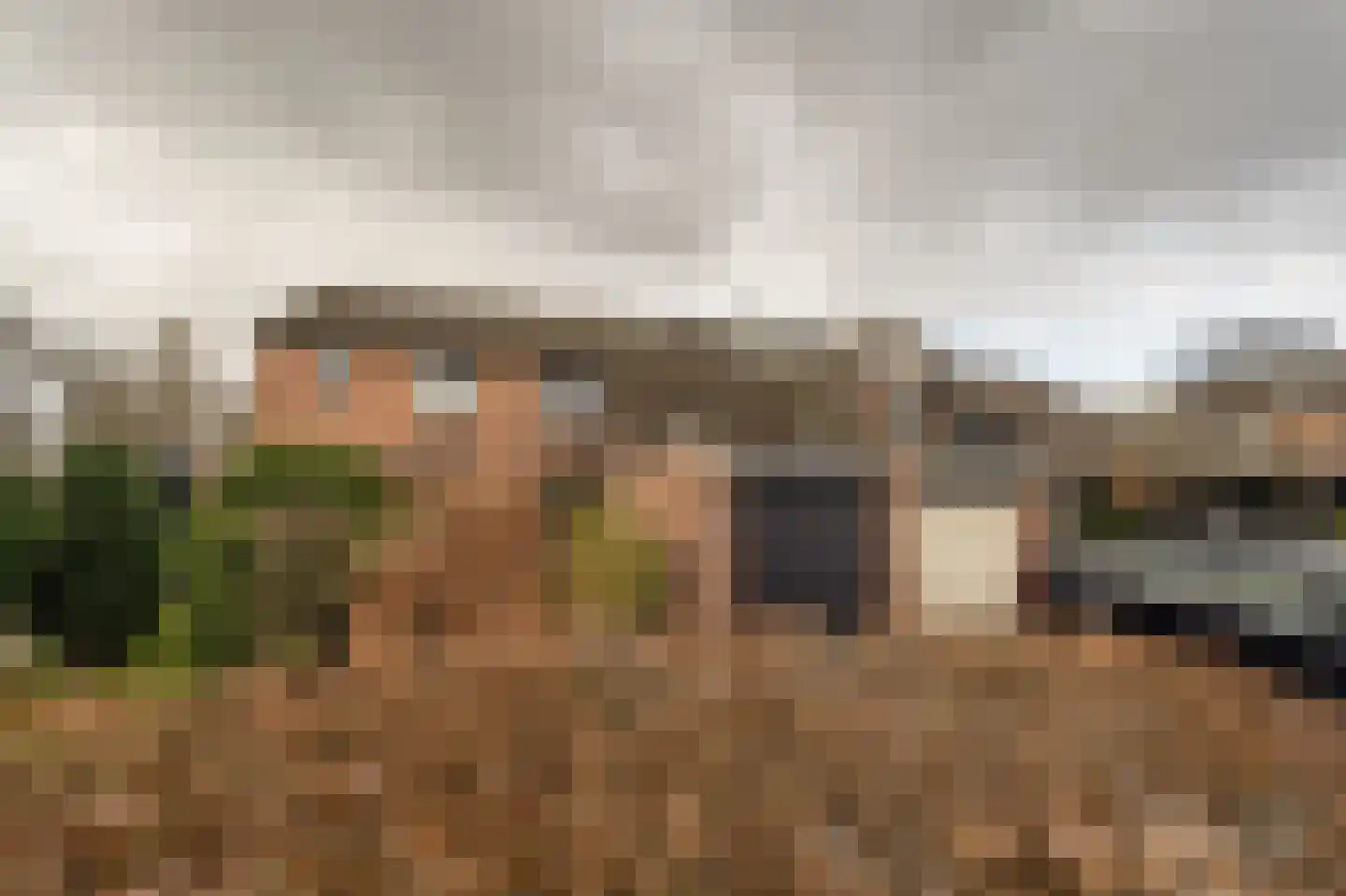 Elisabeth van Loonstraat 18 Mijnsheerenland thumbnail 36