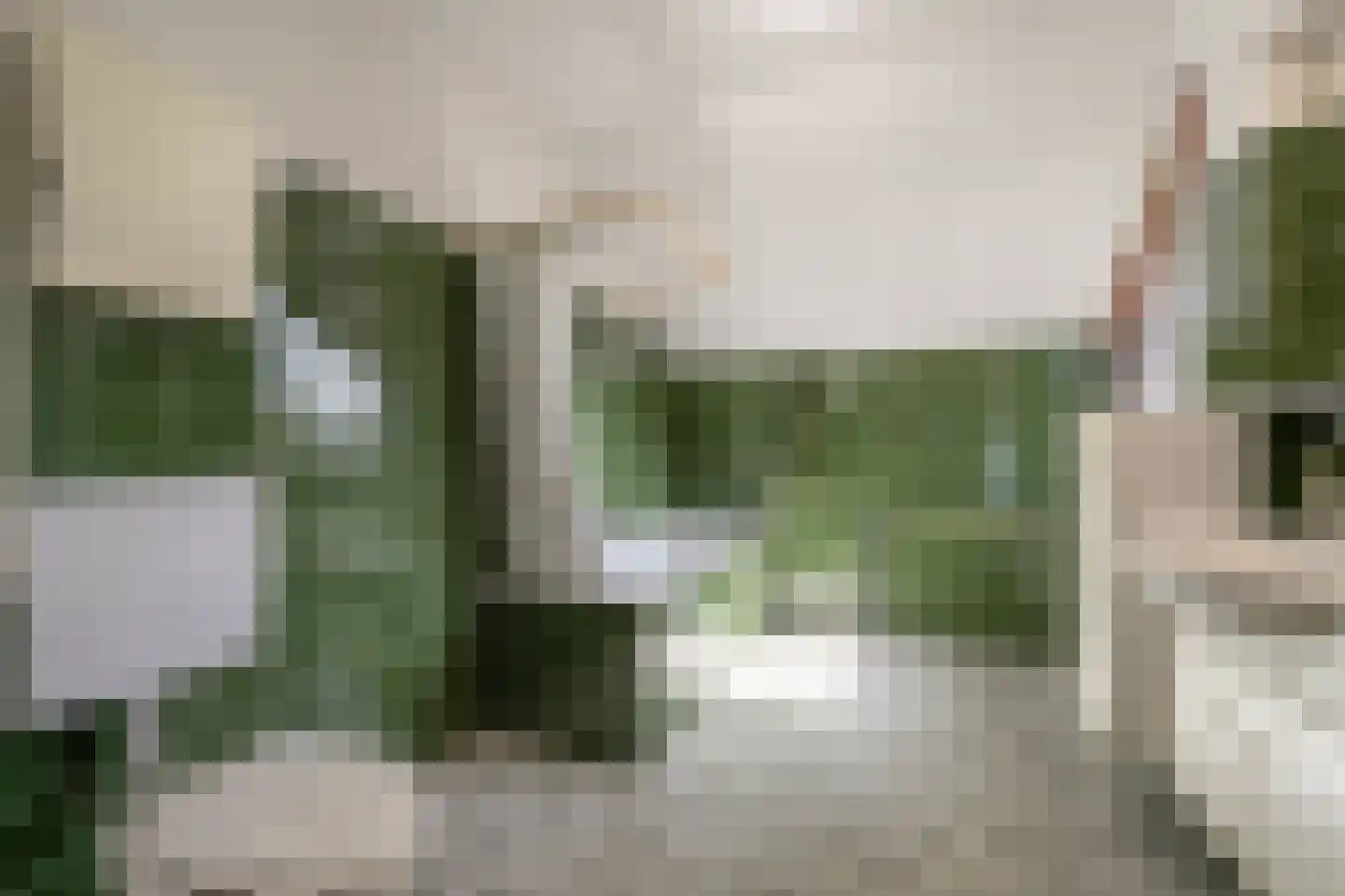 Elisabeth van Loonstraat 29 Mijnsheerenland thumbnail 17