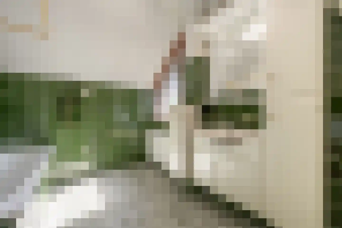 Elisabeth van Loonstraat 29 Mijnsheerenland thumbnail 18