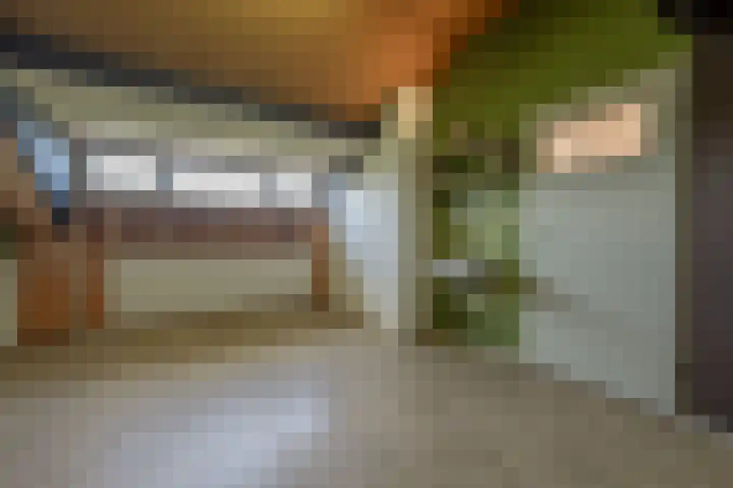 Elisabeth van Loonstraat 29 Mijnsheerenland thumbnail 21