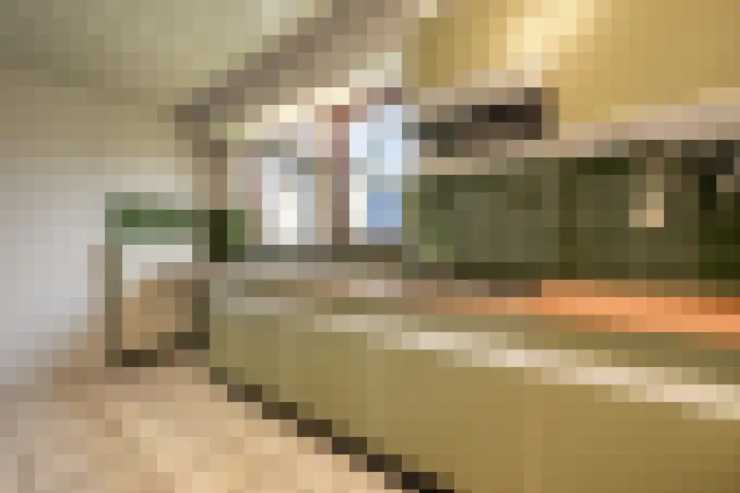 Elisabeth van Loonstraat 29 Mijnsheerenland thumbnail 5