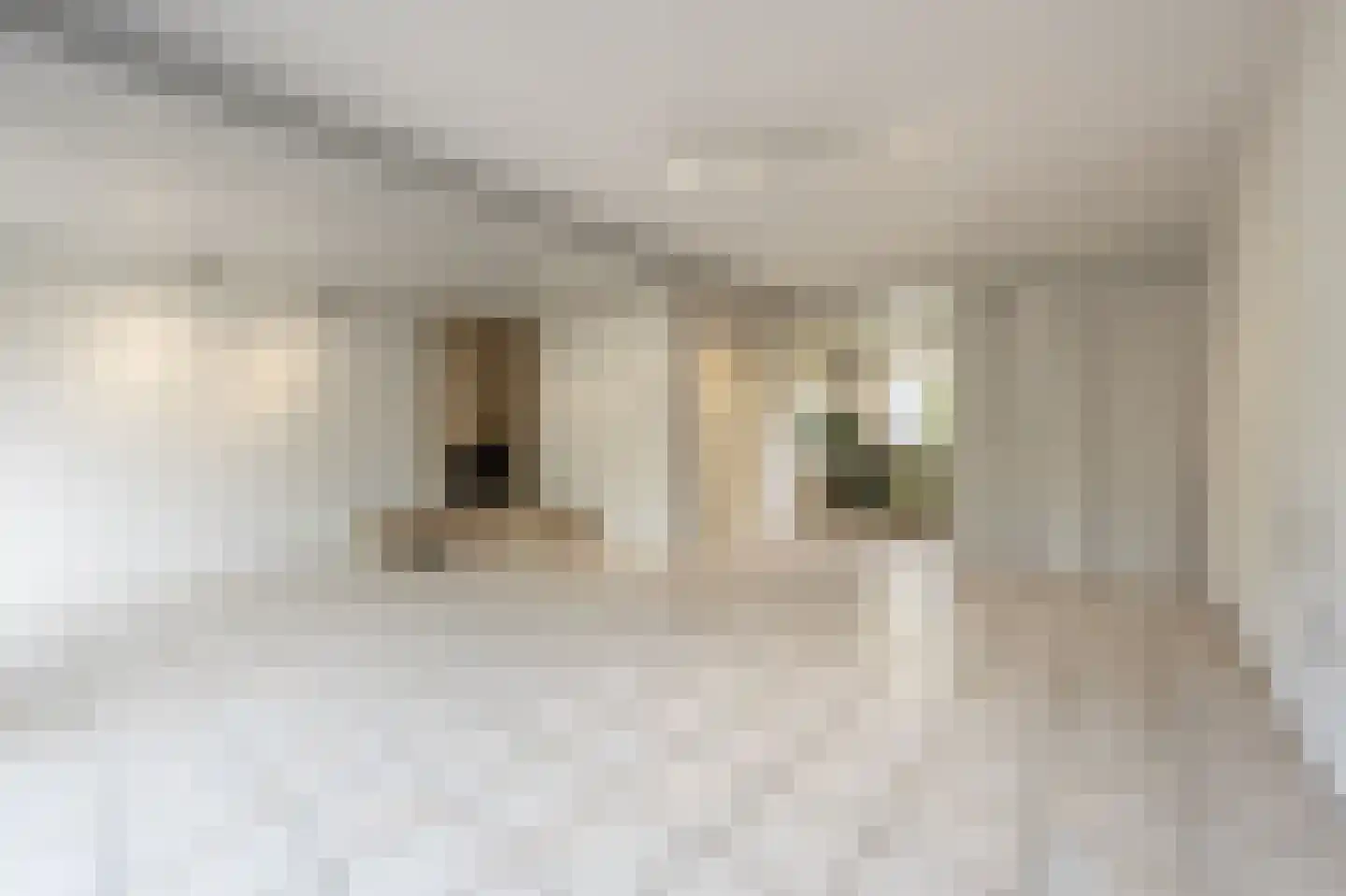 Elisabeth van Loonstraat 29 Mijnsheerenland thumbnail 6