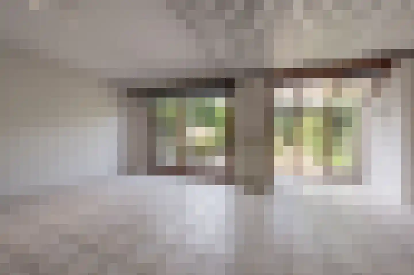 Elisabeth van Loonstraat 29 Mijnsheerenland thumbnail 7