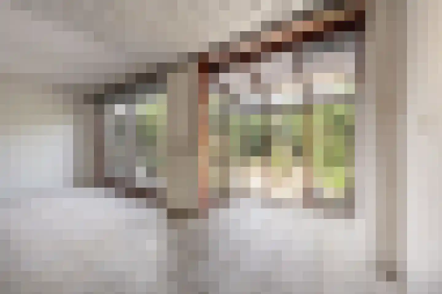 Elisabeth van Loonstraat 29 Mijnsheerenland thumbnail 8