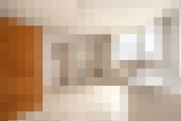 Elisabeth van Loonstraat 53 Mijnsheerenland thumbnail 14