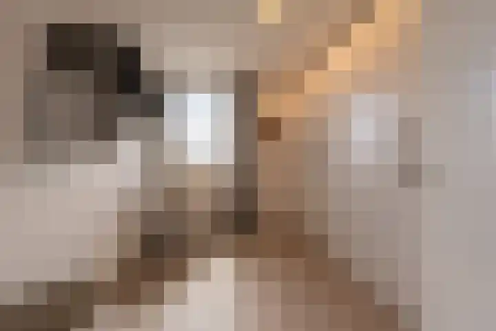 Elisabeth van Loonstraat 53 Mijnsheerenland thumbnail 16