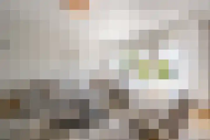 Elisabeth van Loonstraat 53 Mijnsheerenland thumbnail 5