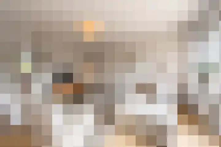 Elisabeth van Loonstraat 53 Mijnsheerenland thumbnail 7