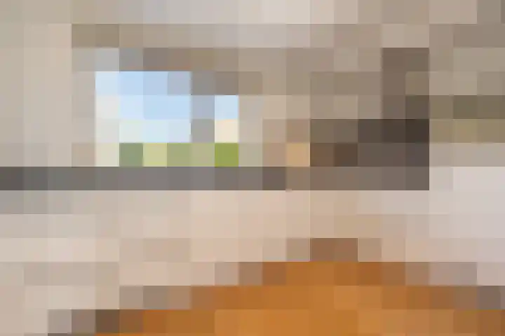 Elisabeth van Loonstraat 53 Mijnsheerenland thumbnail 8
